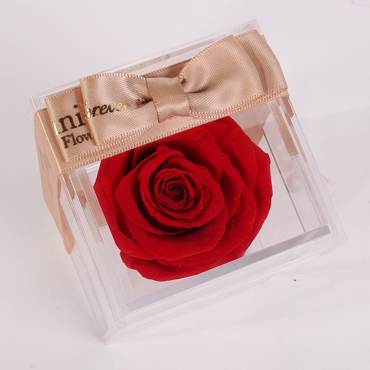 2023 hot sale single preserved rose in acrylic box preserved flower forever rose box