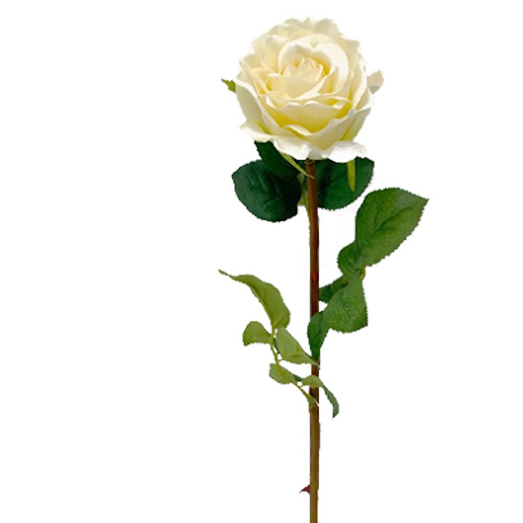 66cm Super Simulated Moisturizing Indoor Decorative Touch Rose Single Branch Artificial Flower Wall Backdrop Preserved Plants