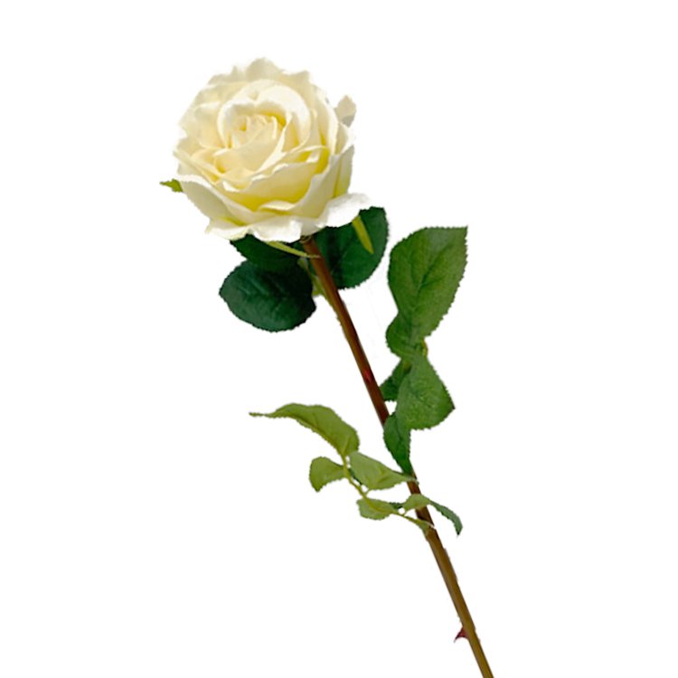 66cm Super Simulated Moisturizing Indoor Decorative Touch Rose Single Branch Artificial Flower Wall Backdrop Preserved Plants