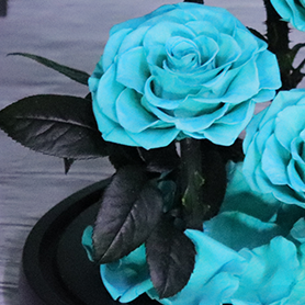 Mother Day Gift 5 Pcs Long Steam Preserved Flower Preserved Rose With Steam Preserved Rose Blue Real Rose In Glass Dome
