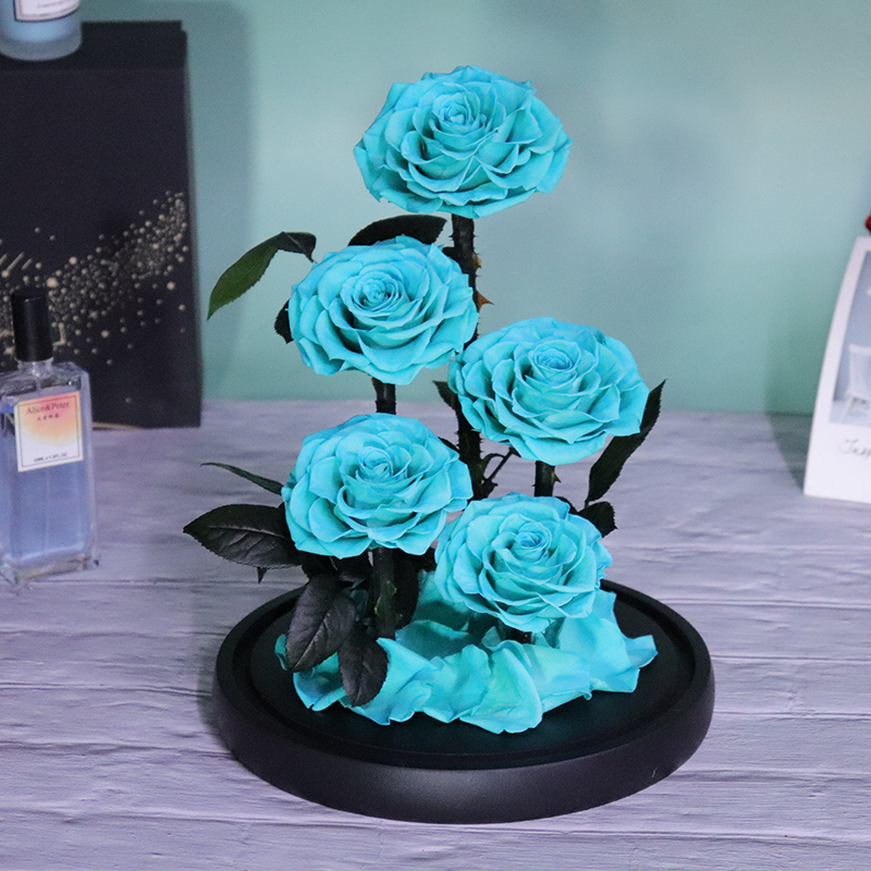 Mother Day Gift 5 Pcs Long Steam Preserved Flower Preserved Rose With Steam Preserved Rose Blue Real Rose In Glass Dome