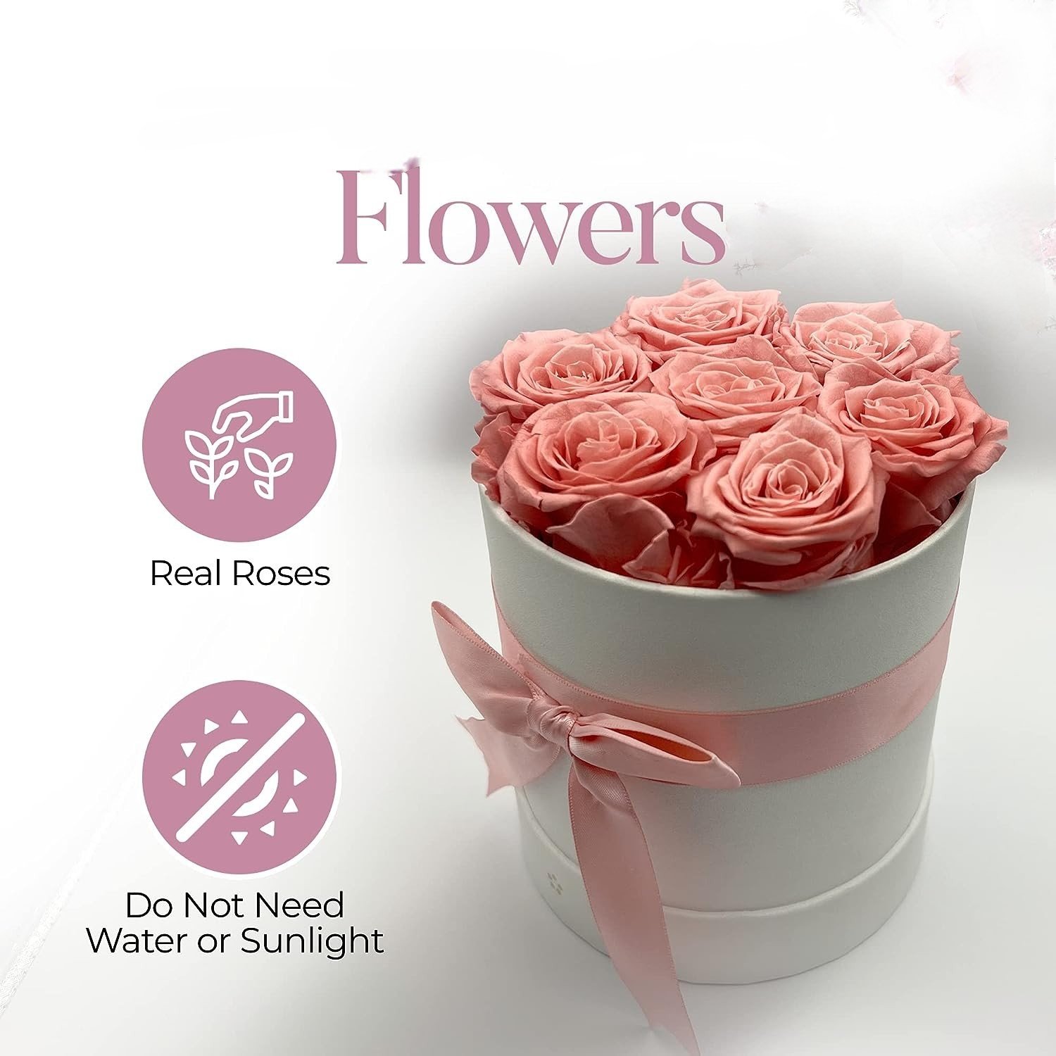 Preserved Fresh Flowers 7 Pink Roses Roses for Delivery Prime Valentines Day Gifts Anniversary Birthday