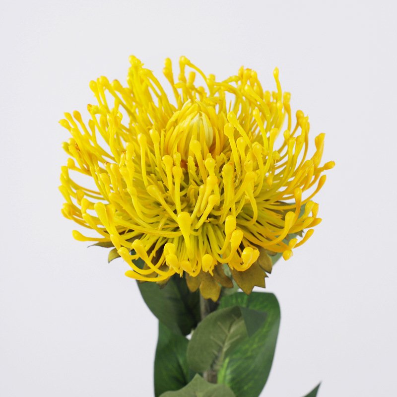 Home decoration Artificial flowers cushion protea big Leucospermum flowers soft plastic wedding flower