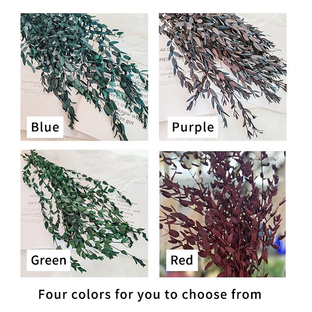 Immortal Fine Leaf Eucalyptus Aromatherapy Candle Small Pointe Dry Flowers Home Decoration Restaurant Preserved Plants Yunnan