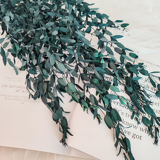 Immortal Fine Leaf Eucalyptus Aromatherapy Candle Small Pointe Dry Flowers Home Decoration Restaurant Preserved Plants Yunnan