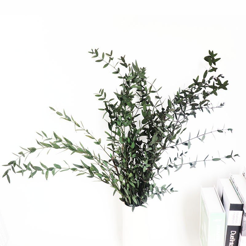 Immortal Fine Leaf Eucalyptus Aromatherapy Candle Small Pointe Dry Flowers Home Decoration Restaurant Preserved Plants Yunnan