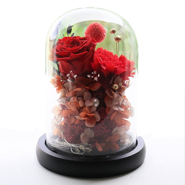 Delicate Preserved Carnation and Real Touch Rose Heads in Glass Dome Christmas Halloween or Graduation Mothers Day Gift Ideas