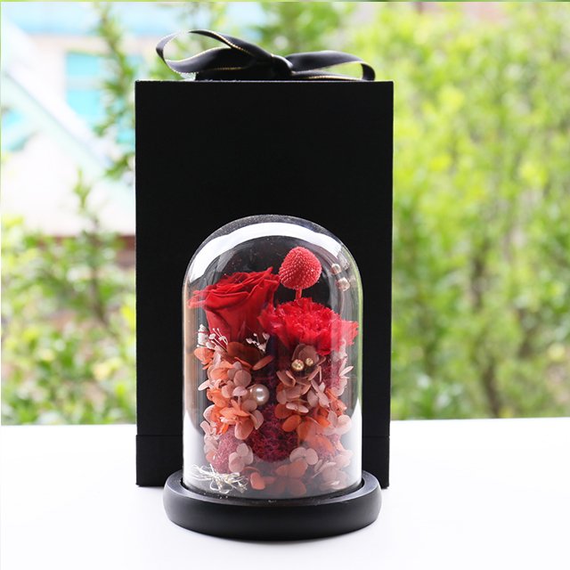 Delicate Preserved Carnation and Real Touch Rose Heads in Glass Dome Christmas Halloween or Graduation Mothers Day Gift Ideas