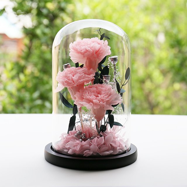 Delicate Preserved Carnation and Real Touch Rose Heads in Glass Dome Christmas Halloween or Graduation Mothers Day Gift Ideas