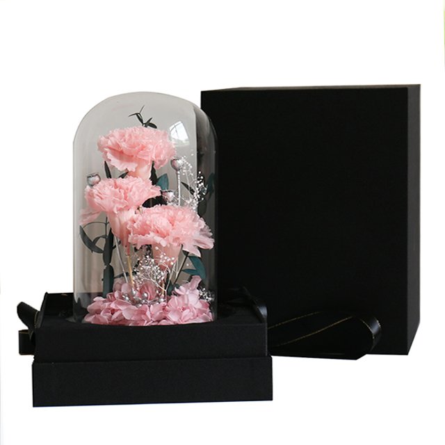 Delicate Preserved Carnation and Real Touch Rose Heads in Glass Dome Christmas Halloween or Graduation Mothers Day Gift Ideas