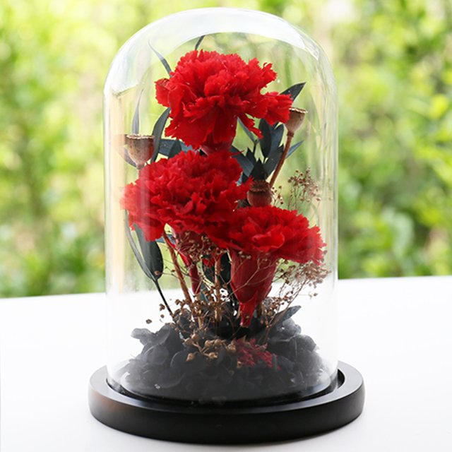 Delicate Preserved Carnation and Real Touch Rose Heads in Glass Dome Christmas Halloween or Graduation Mothers Day Gift Ideas