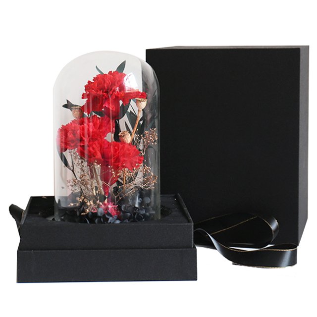 Delicate Preserved Carnation and Real Touch Rose Heads in Glass Dome Christmas Halloween or Graduation Mothers Day Gift Ideas
