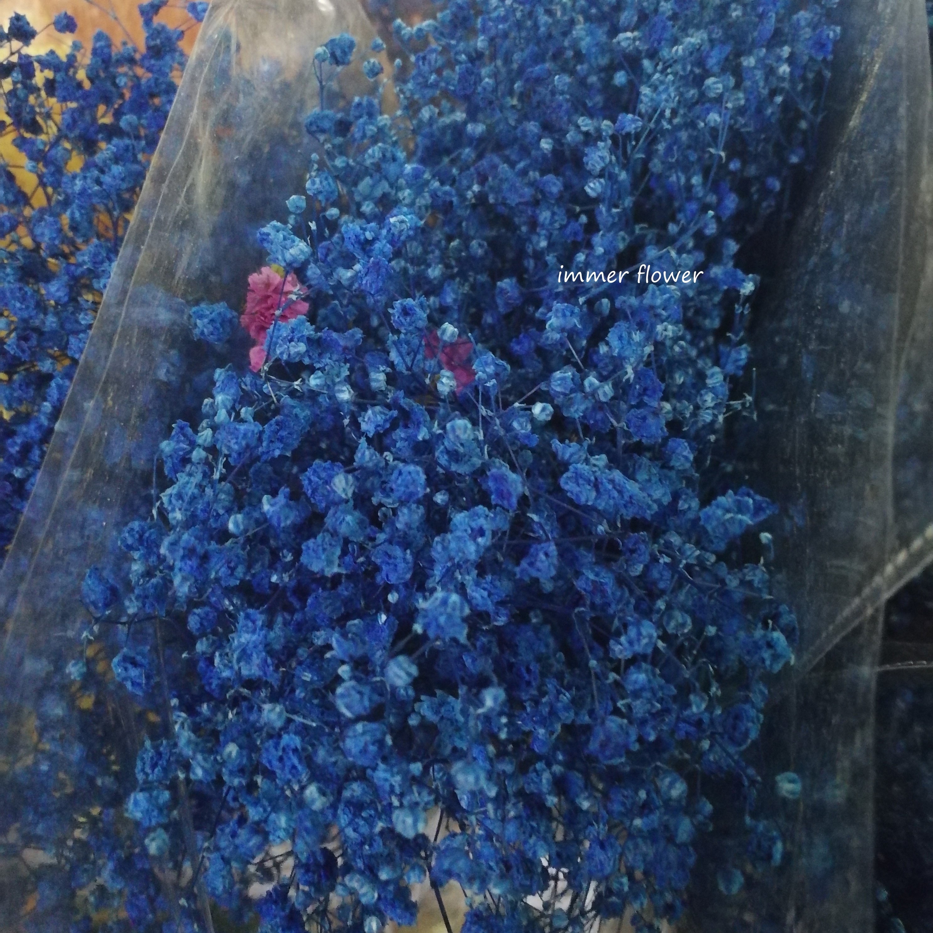 Beautiful Preserved Baby's Breath Small Flower Phantasy Star Flower