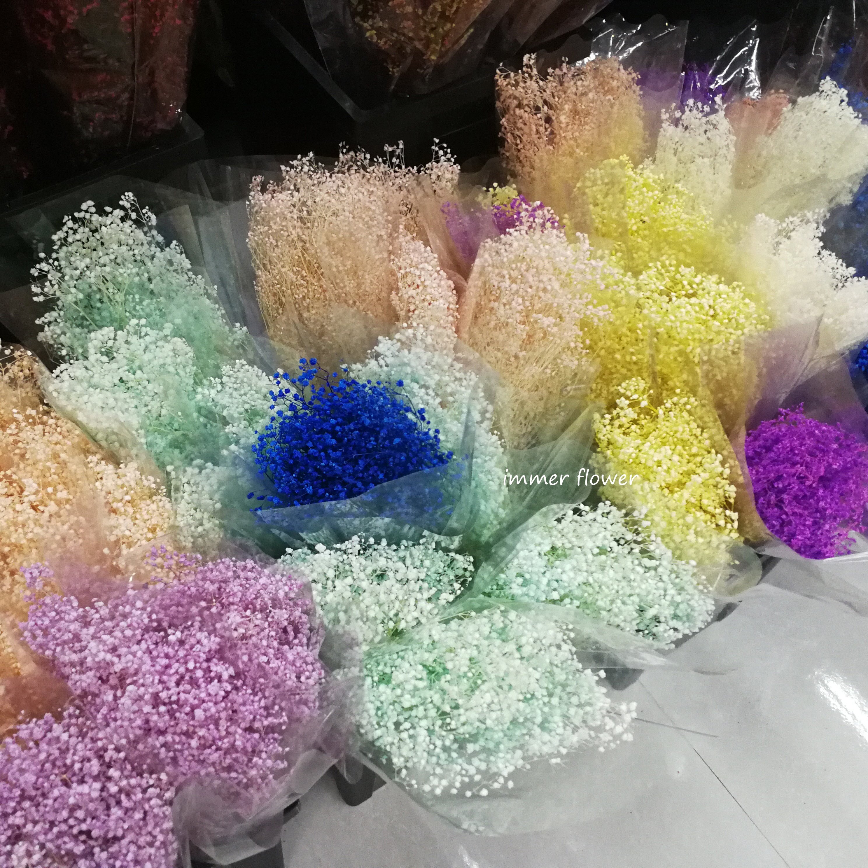 Beautiful Preserved Baby's Breath Small Flower Phantasy Star Flower