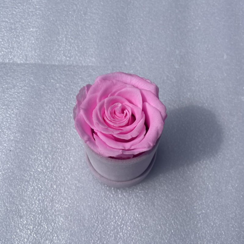Drop Shipping Romantic Gift Eternal Flannelette Gift Box Everlasting Preserved Forever Roses Arranged in Box