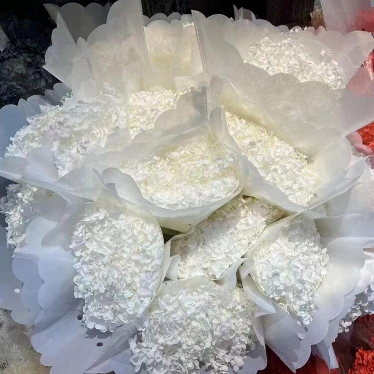 O-056 Dried Flowers Preserved Hydrangea Dried Hydrangea Flowers Bouquet Preserved Big Leaf Hydrangea