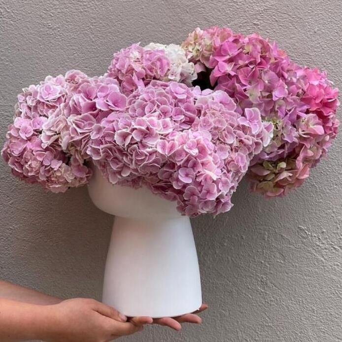 O-056 Dried Flowers Preserved Hydrangea Dried Hydrangea Flowers Bouquet Preserved Big Leaf Hydrangea