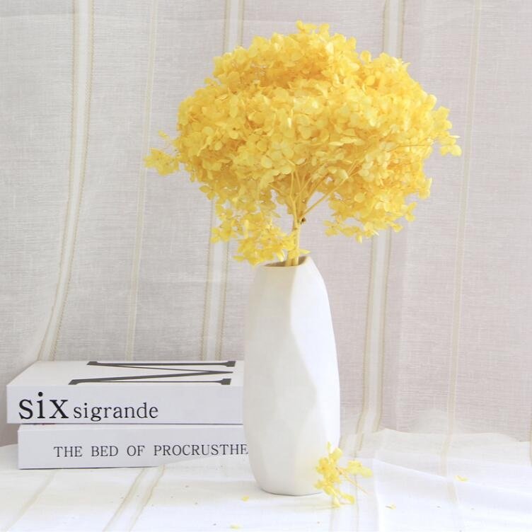 O-056 Dried Flowers Preserved Hydrangea Dried Hydrangea Flowers Bouquet Preserved Big Leaf Hydrangea