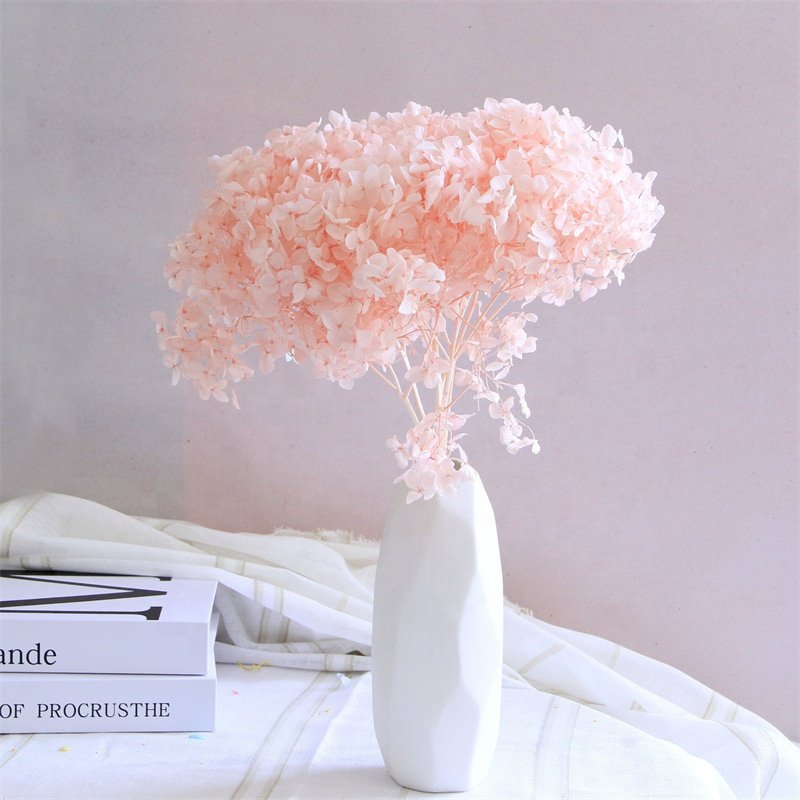 O-056 Dried Flowers Preserved Hydrangea Dried Hydrangea Flowers Bouquet Preserved Big Leaf Hydrangea