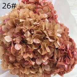26#