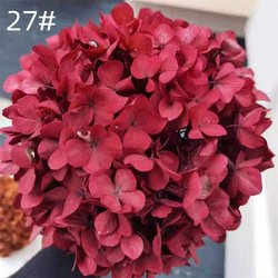 27#