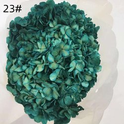 23#