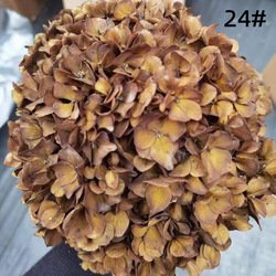 24#