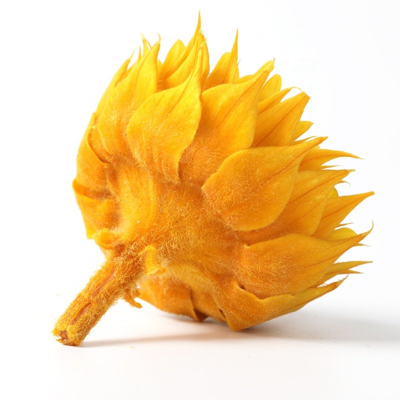 7-8cm Artificial real forever preserved Sunflower sun flower for Decor