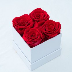 4roses