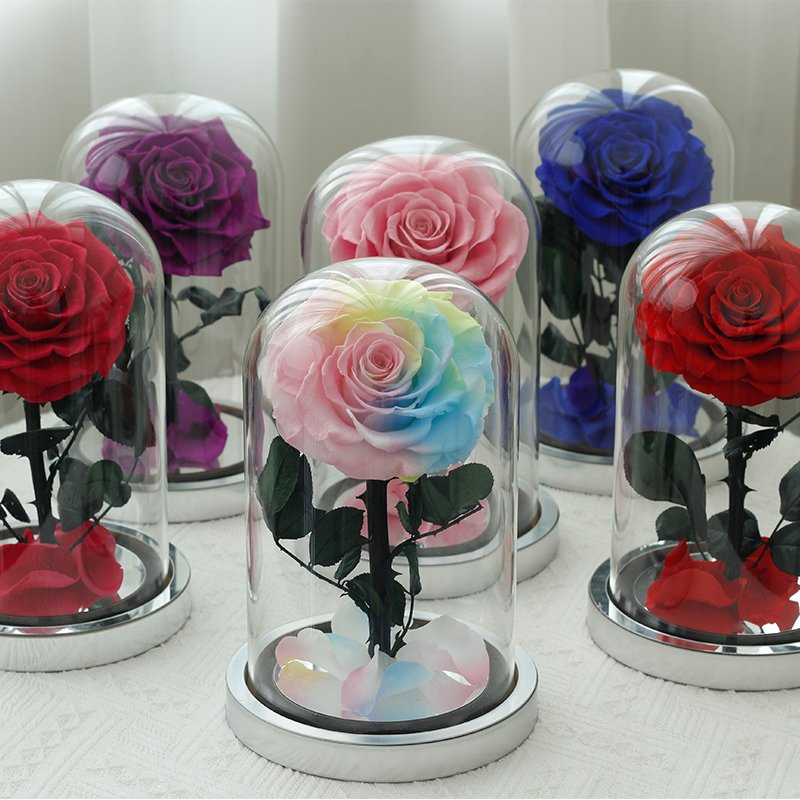 2024 Mothers Day Gifts Preserved Flowers Natural Rose In Glass For Mum