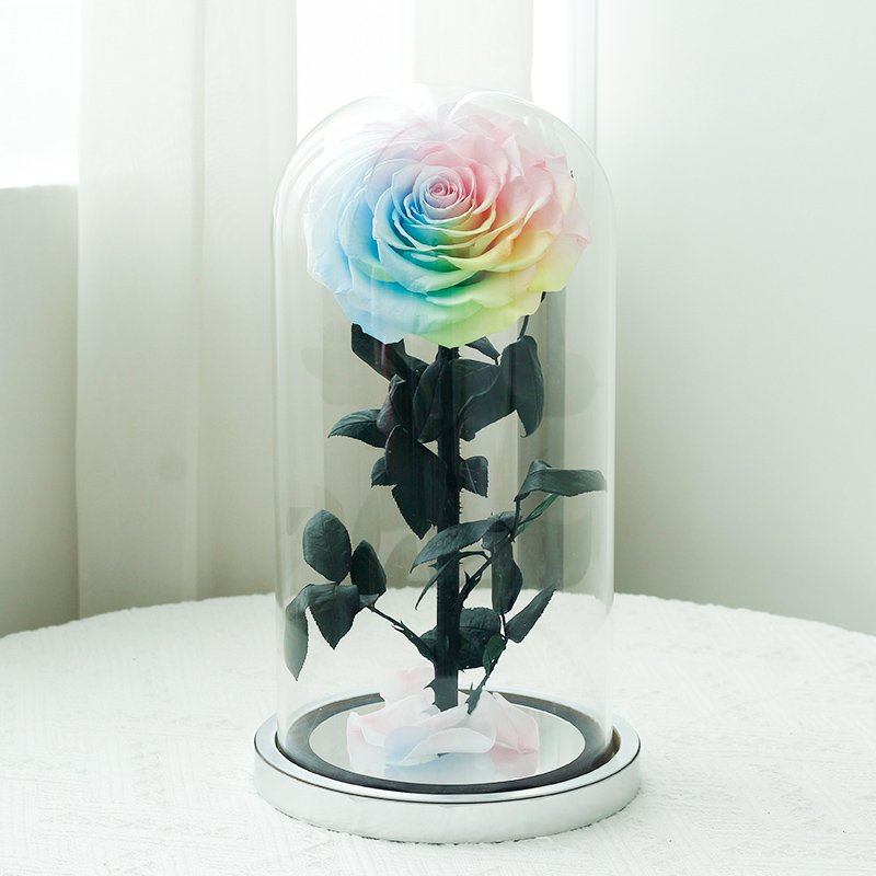 2024 Mothers Day Gifts Preserved Flowers Natural Rose In Glass For Mum