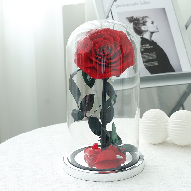 2024 Mothers Day Gifts Preserved Flowers Natural Rose In Glass For Mum
