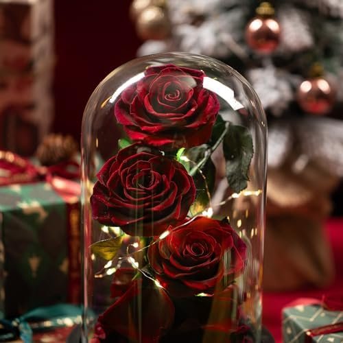 Mothers Day Red Roses Gifts for Mom-Preserved Flower Rose in Glass Dome-Forever Real Roses Gifts for Women Mom Wife