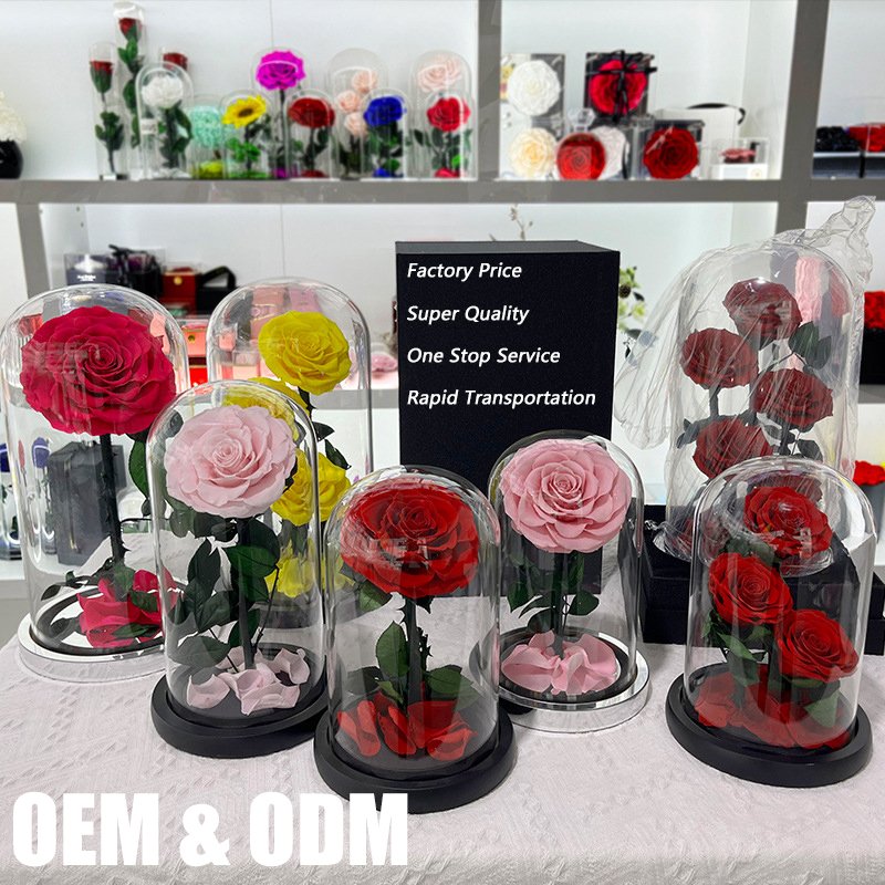 Hot Immortal Flower Glass Cover Fresh Flower Dusty Rose Preserved Roses Glass Dome Pink 3 Forever Roses In Preserved Glass
