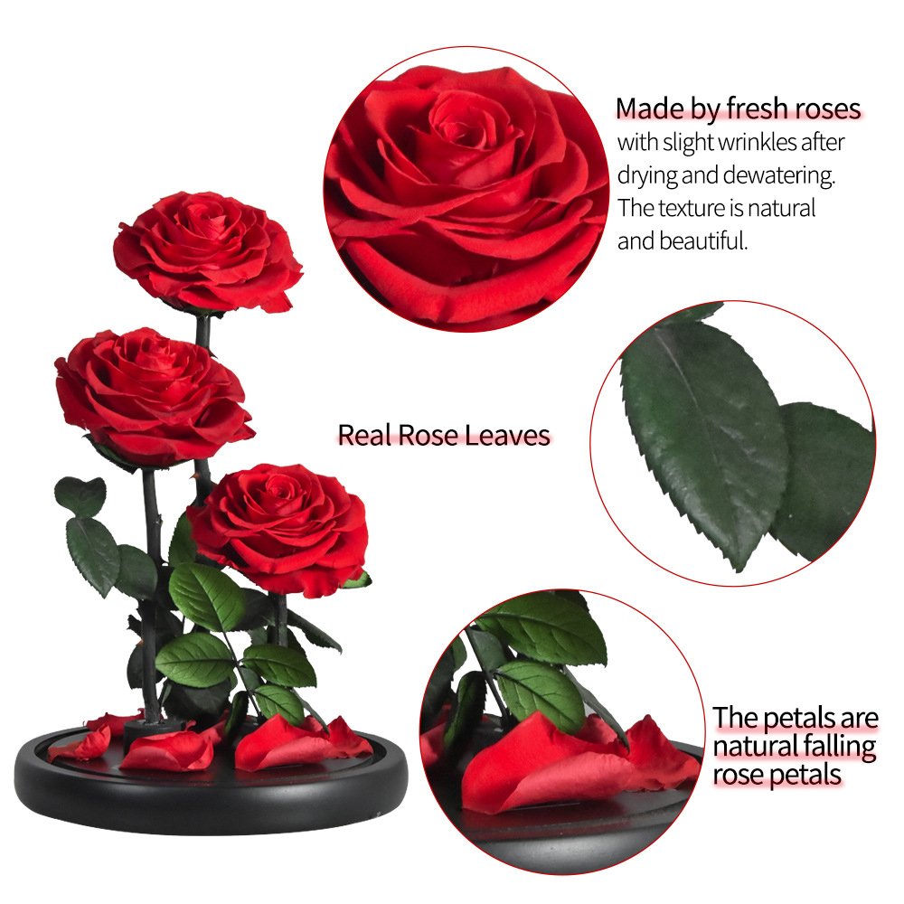 Hot Immortal Flower Glass Cover Fresh Flower Dusty Rose Preserved Roses Glass Dome Pink 3 Forever Roses In Preserved Glass