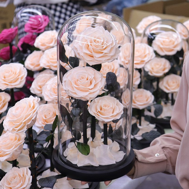 Hot Immortal Flower Glass Cover Fresh Flower Dusty Rose Preserved Roses Glass Dome Pink 3 Forever Roses In Preserved Glass