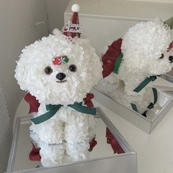 8#