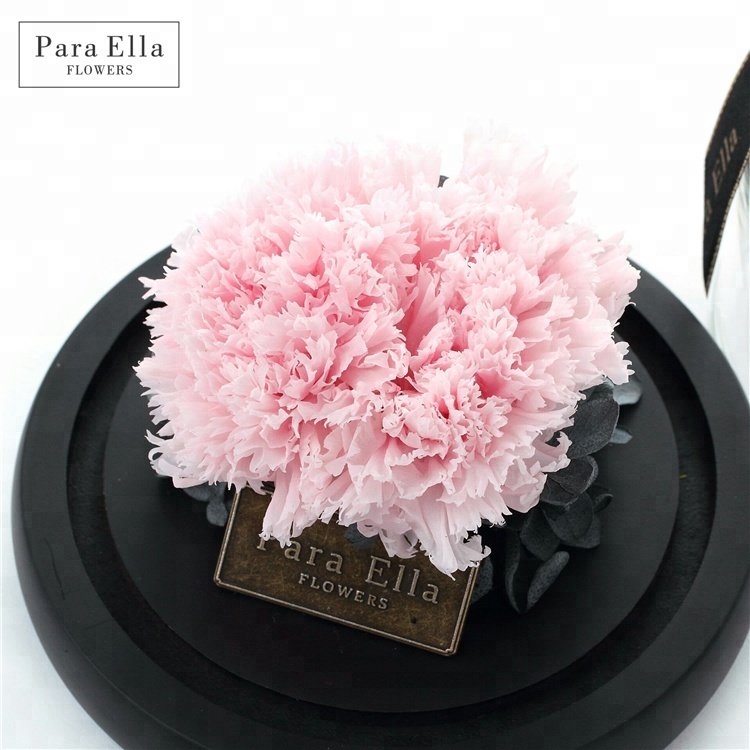 Giant Eternal Flower Preserved Carnation with Glass Dome Heart Shaped Mothers Day Gift