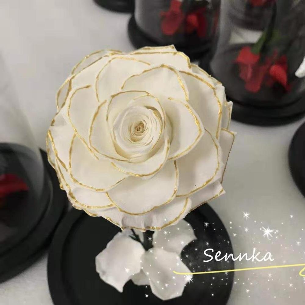 Long Stem Rose in Glass Preserved Rose That Last One Year
