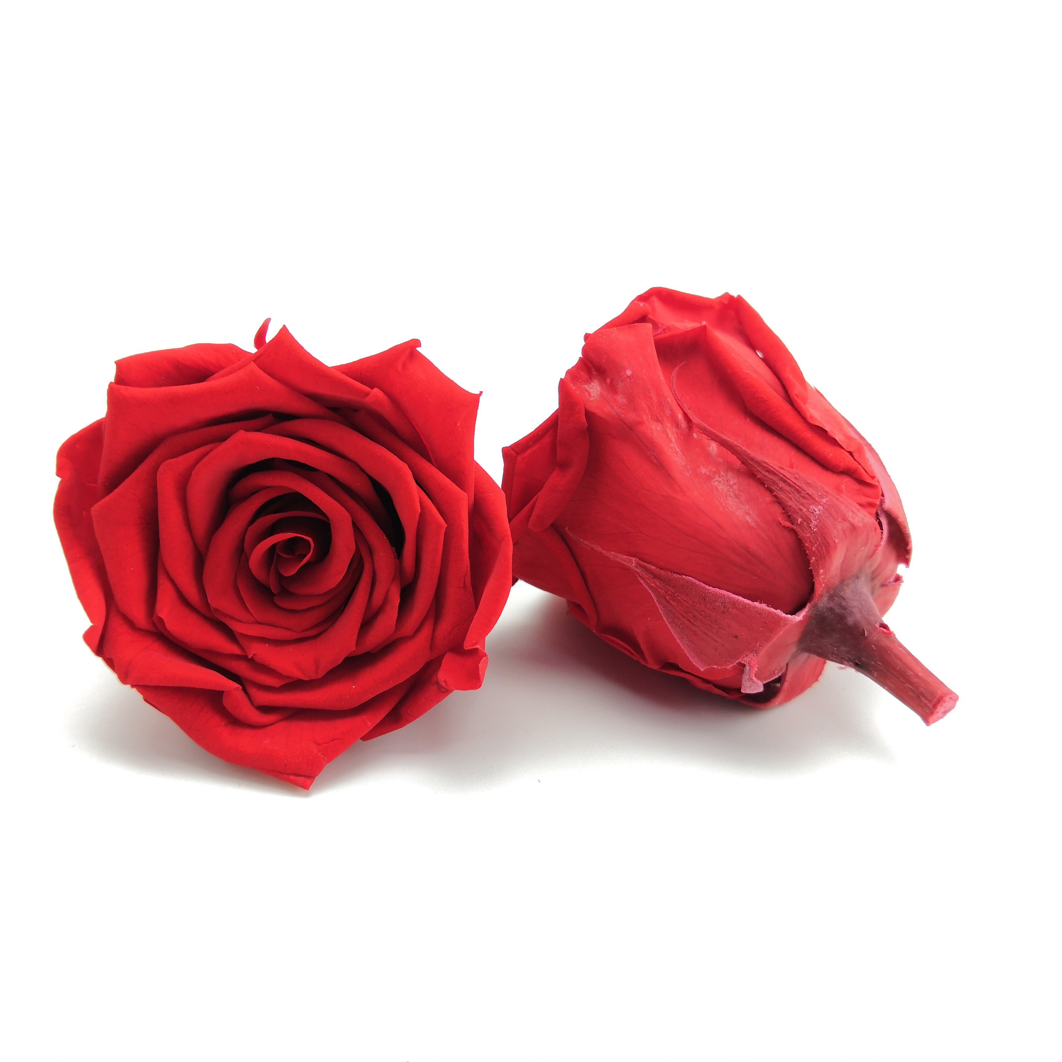 Valentine's Day preserved flowers support OEM ODM factory a grade of eternal immortal rose head preservation