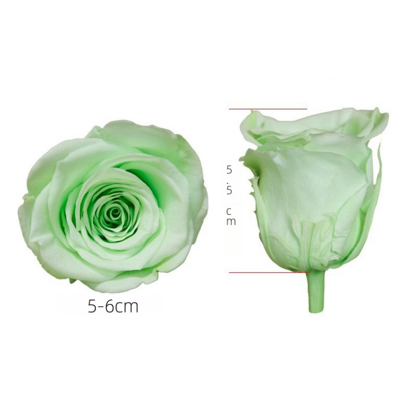 Valentine's Day preserved flowers support OEM ODM factory a grade of eternal immortal rose head preservation
