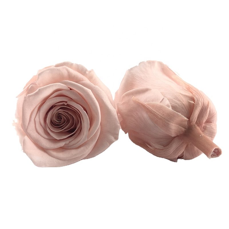 Wholesale gift preserved rose petals heads real natural long lasting roses flower