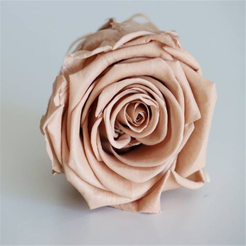 Wholesale gift preserved rose petals heads real natural long lasting roses flower