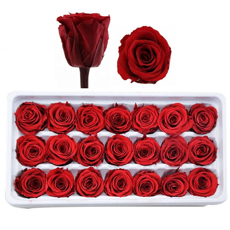 Wholesale gift preserved rose petals heads real natural long lasting roses flower