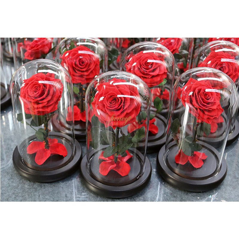 Factory Customized Wholesale Valentines Day Gifts Long Stem Glass Dome Belle Enchanted Preserved Forever Roses in Glass Dome