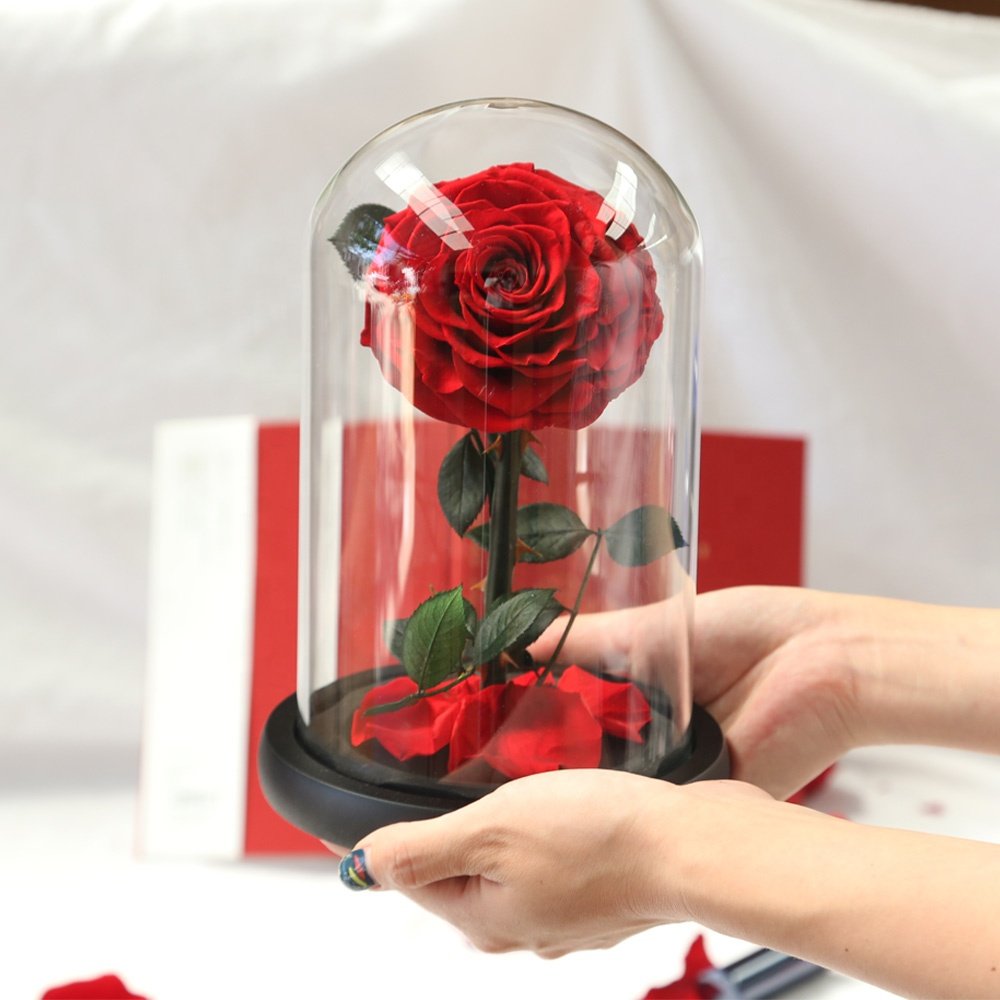 Factory Customized Wholesale Valentines Day Gifts Long Stem Glass Dome Belle Enchanted Preserved Forever Roses in Glass Dome