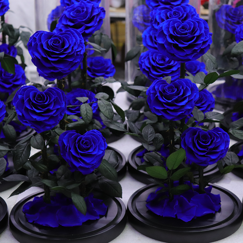 Customize Preserved Rose Large Prince Preserved Rose Blue Real Rose in Glass Dome Eternal Preserved Flower for Valentines'Day