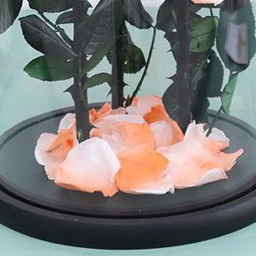 Customize Preserved Rose Large Prince Preserved Rose Blue Real Rose in Glass Dome Eternal Preserved Flower for Valentines'Day
