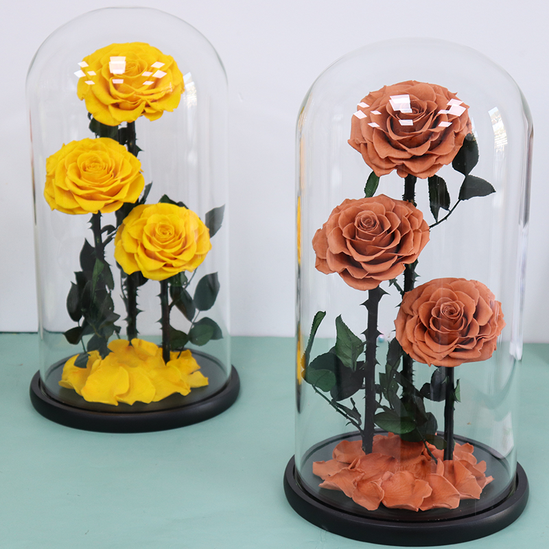 Customize Preserved Rose Large Prince Preserved Rose Blue Real Rose in Glass Dome Eternal Preserved Flower for Valentines'Day