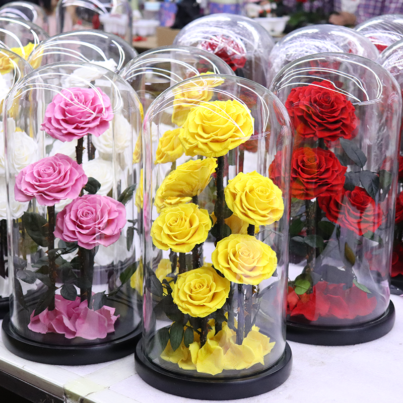 Customize Preserved Rose Large Prince Preserved Rose Blue Real Rose in Glass Dome Eternal Preserved Flower for Valentines'Day